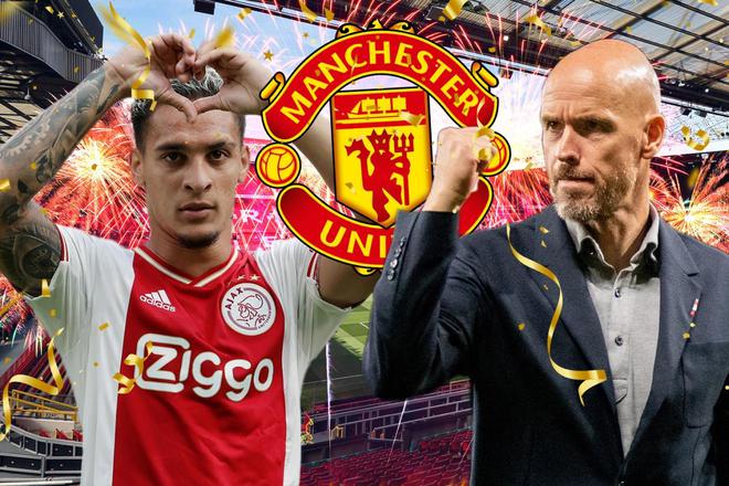 春化教练 春化教练